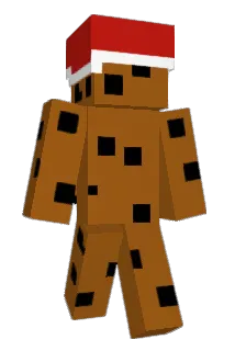 duckispro21 Minecraft avatar full body