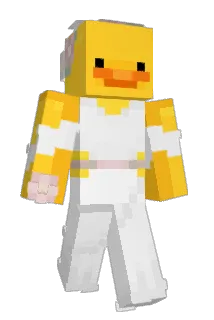 duckkonice Minecraft avatar full body