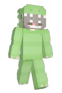 duckmaoo Minecraft avatar full body