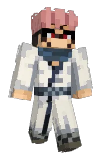 ducky3145 Minecraft avatar full body