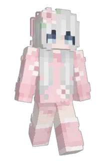 dudjop Minecraft avatar full body
