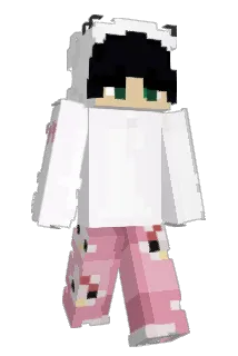 dukannmc Minecraft avatar full body