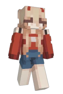 dukenuke37 Minecraft avatar full body