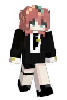 dumb_car Minecraft avatar full body