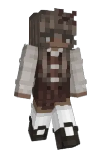 dumbbuggy Minecraft avatar full body
