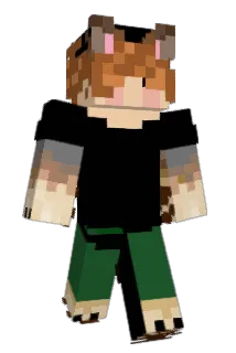 dumbdumb4078 Minecraft avatar full body