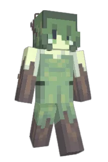 dumbomb Minecraft avatar full body