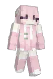 dumbpup Minecraft avatar full body