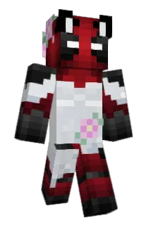 dummeunge Minecraft avatar full body