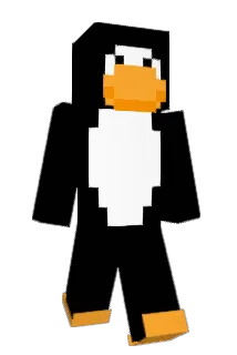 dummycece Minecraft avatar full body
