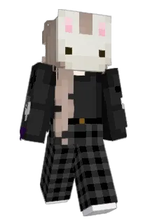 dumplingfetus Minecraft avatar full body