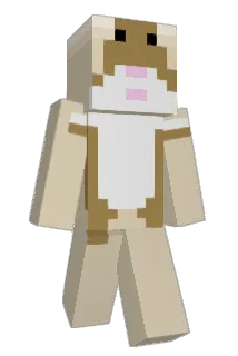 dunnis Minecraft avatar full body