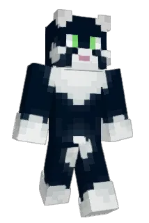 durantheman69 Minecraft avatar full body