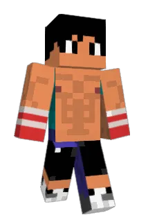 durpyyyt Minecraft avatar full body