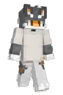 dusifish Minecraft avatar full body