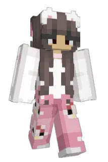 dusstier Minecraft avatar full body