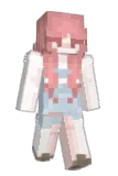 dusterskies Minecraft avatar full body