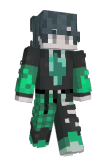 dustiu Minecraft avatar full body