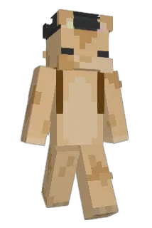 dustramedy Minecraft avatar full body