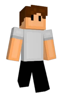 dustructor112 Minecraft avatar full body