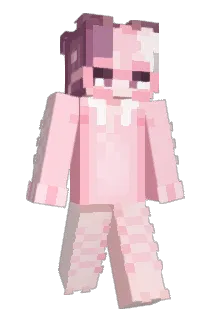 duvalinswirl Minecraft avatar full body