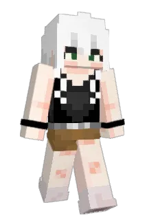 duzi432 Minecraft avatar full body