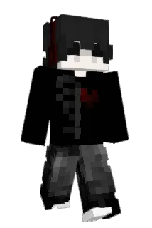 dvd_19 Minecraft avatar full body