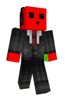 dvdwells Minecraft avatar full body