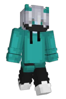 dvidx55 Minecraft avatar full body