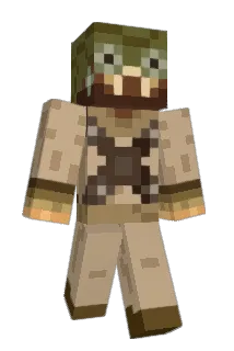 dw33n Minecraft avatar full body