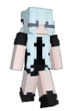dwlt Minecraft avatar full body