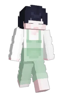 dwnnn_ Minecraft avatar full body
