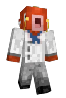 dwnupdwn Minecraft avatar full body