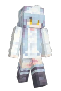 dwsy Minecraft avatar full body