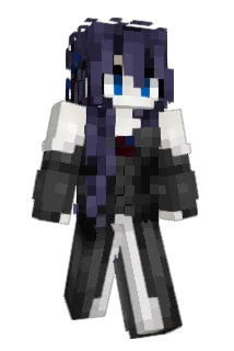 dwtd Minecraft avatar full body