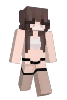 dwzwf Minecraft avatar full body