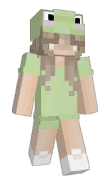 Custom render preview