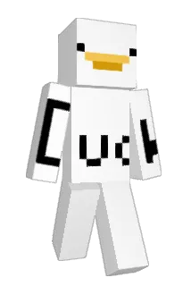 dydrndtk Minecraft avatar full body