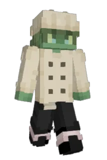 dykw Minecraft avatar full body