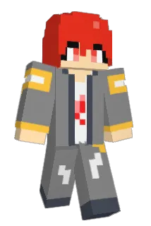 dykwon812 Minecraft avatar full body