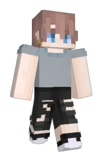 dylmingo Minecraft avatar full body