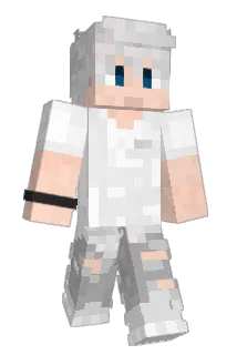 dyncoro Minecraft avatar full body