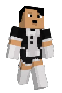 dynsar Minecraft avatar full body