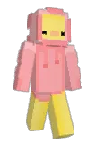 dz1kus Minecraft avatar full body