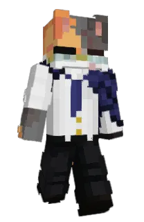 Front of Kosatka's skin