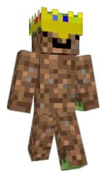 Minecraft skin — Slim model
