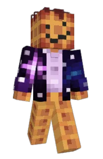 Front of wafflism's skin