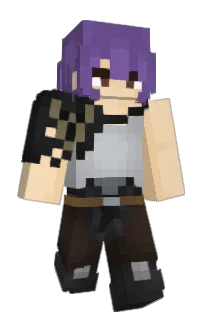 Front of Trimmytron's skin