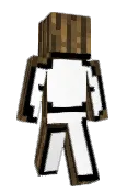 TheLog