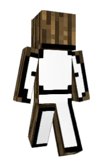 Front of 4x8's skin